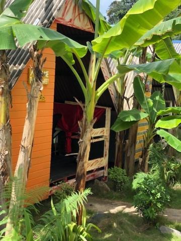 Beach Shack Chalet - Garden View Aframe Big Unit Kampong Juara Εξωτερικό φωτογραφία